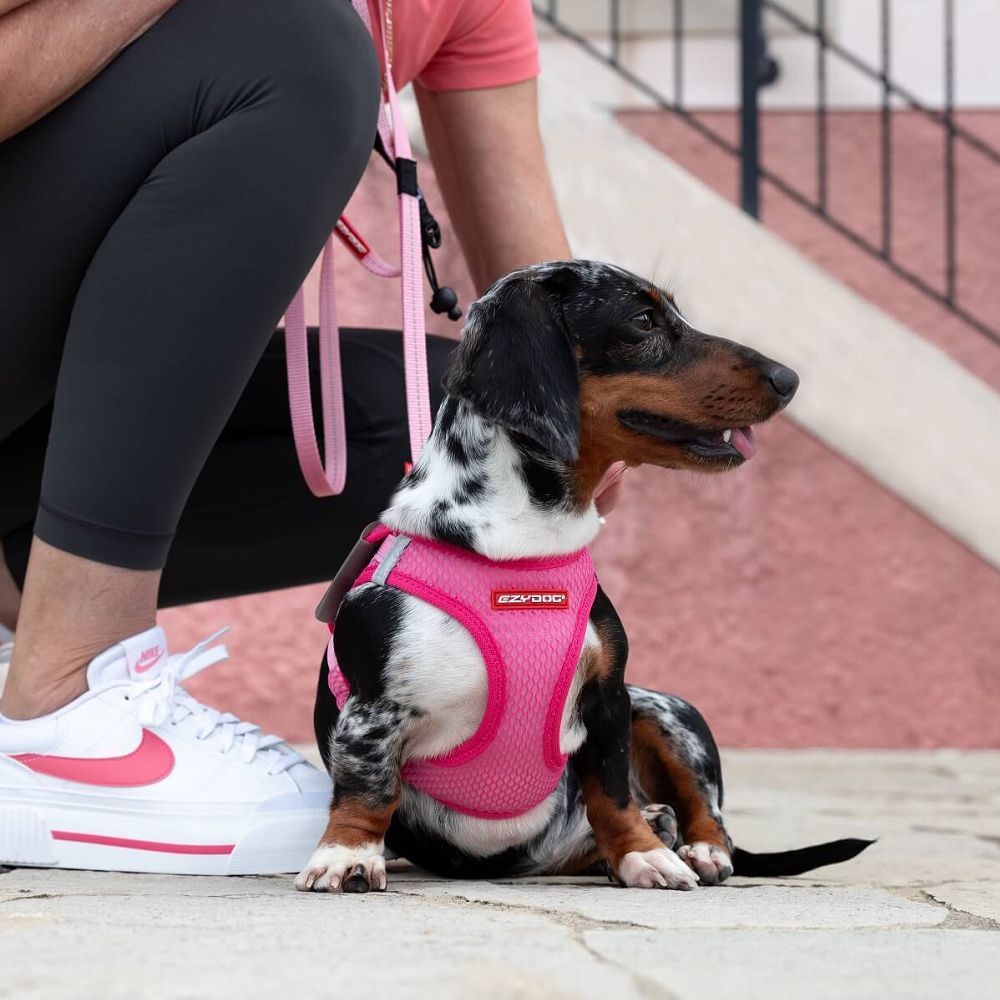 Formfit Mesh Dog Harness