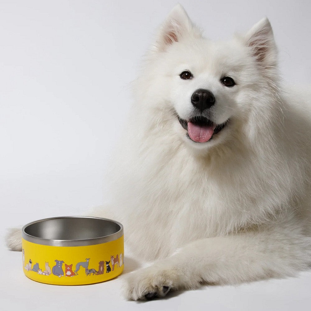 Kiki Stainless Steel Dog Bowl