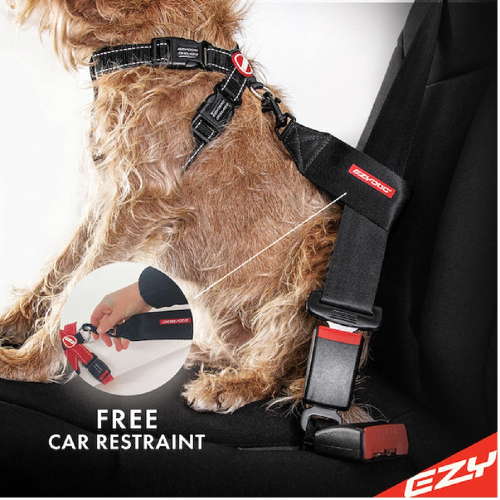 Chestplate Dog Harness