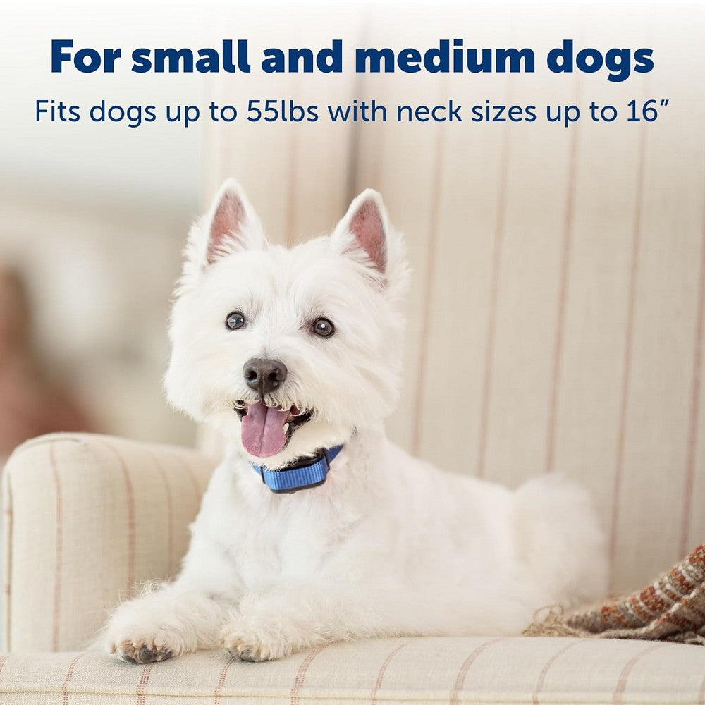 Elite Bark Control Spray Dog Collar