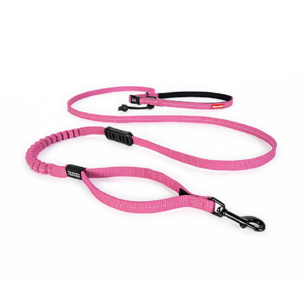 Road Runner Dog Leash Lite
