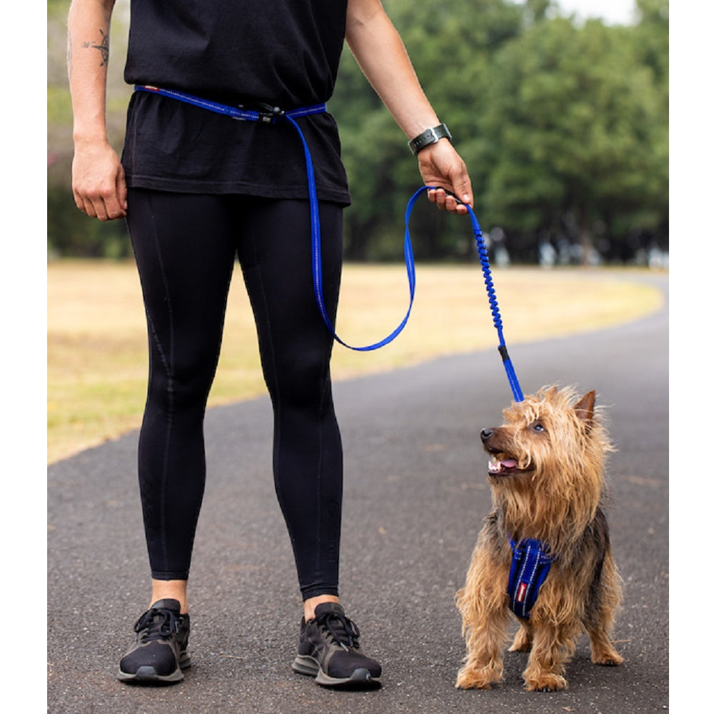 Road Runner Dog Leash Lite