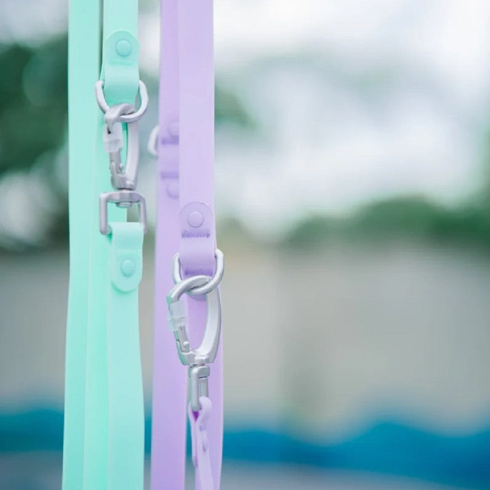 Roam Multi-Way Leash LITE