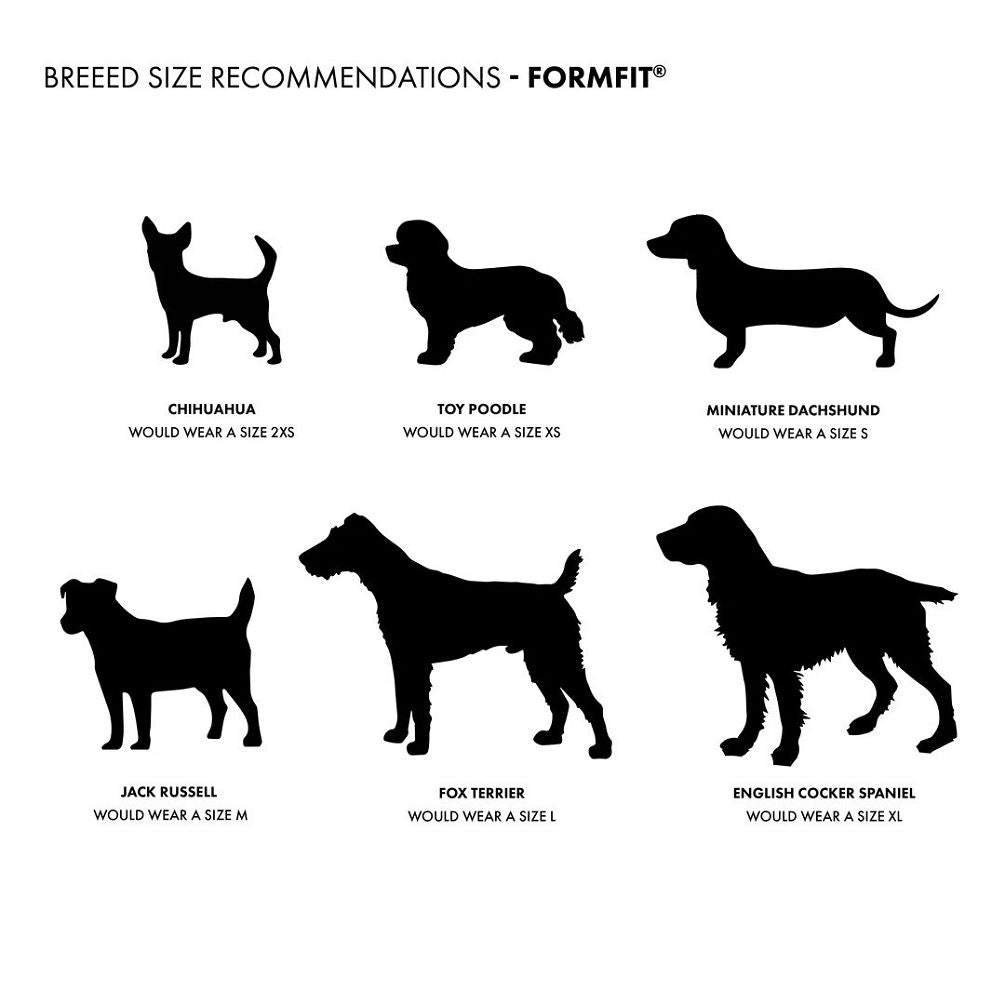 Formfit Mesh Dog Harness