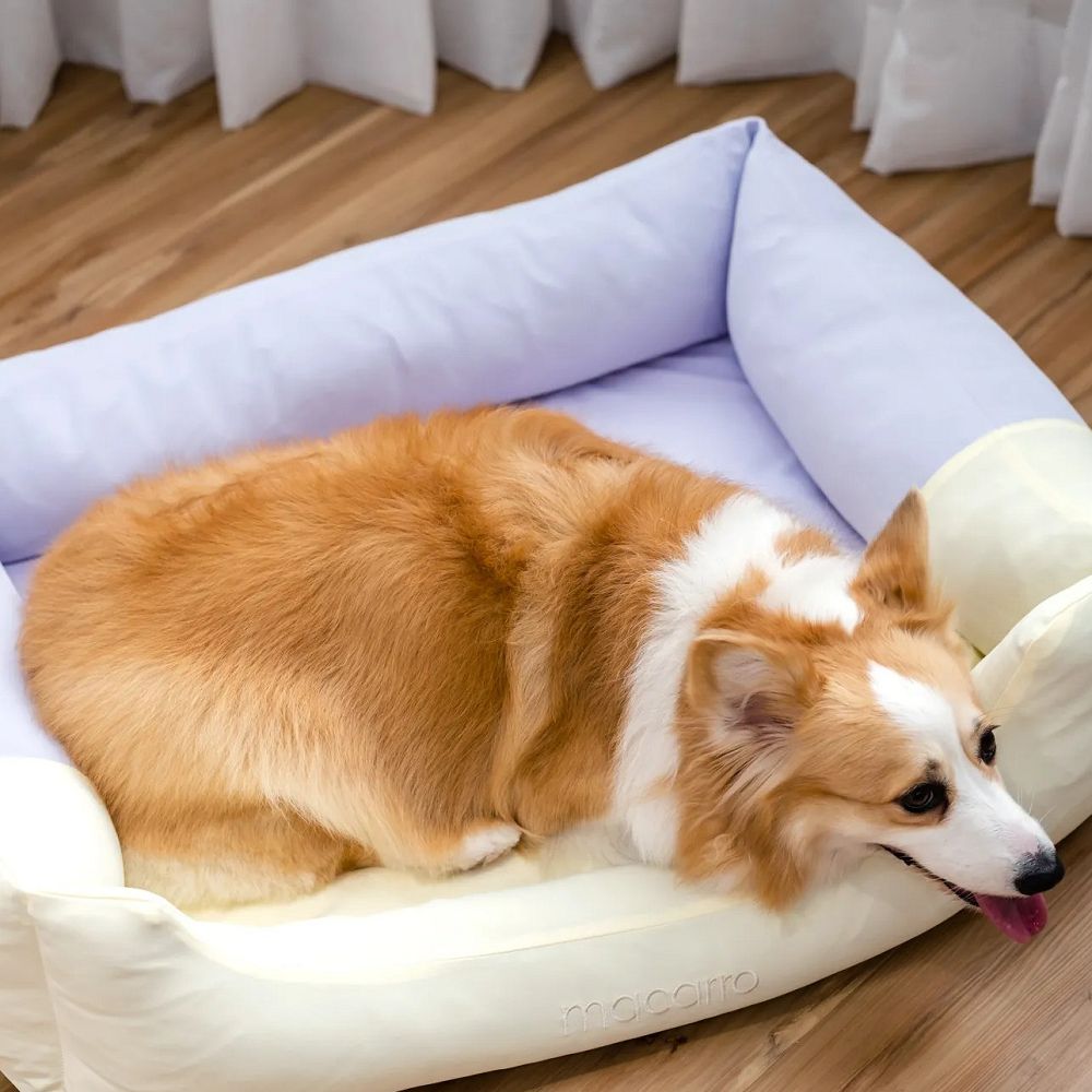 Cooling Latex Bed for Pets