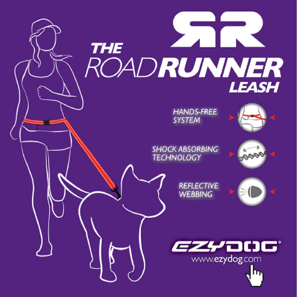 Road Runner Dog Leash Lite