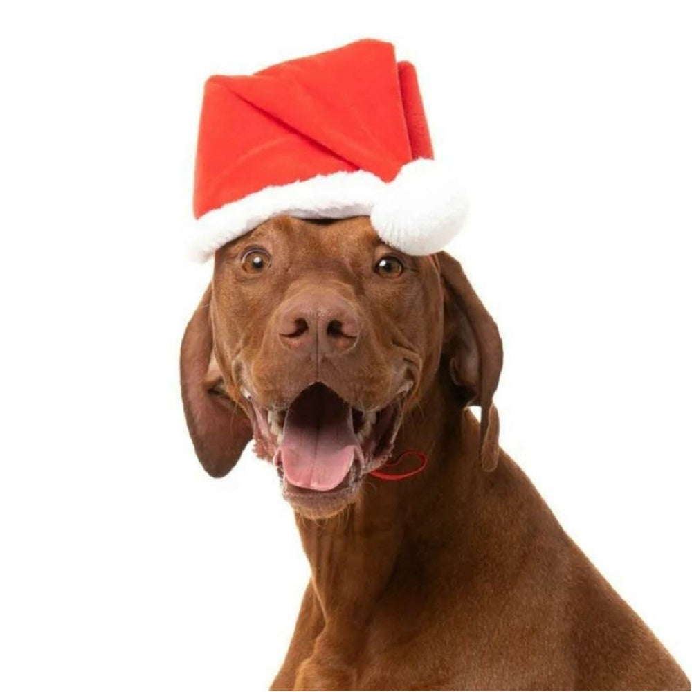 Christmas Santa Hat Dog Toy