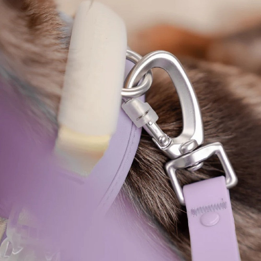 Roam Multi-Way Leash LITE