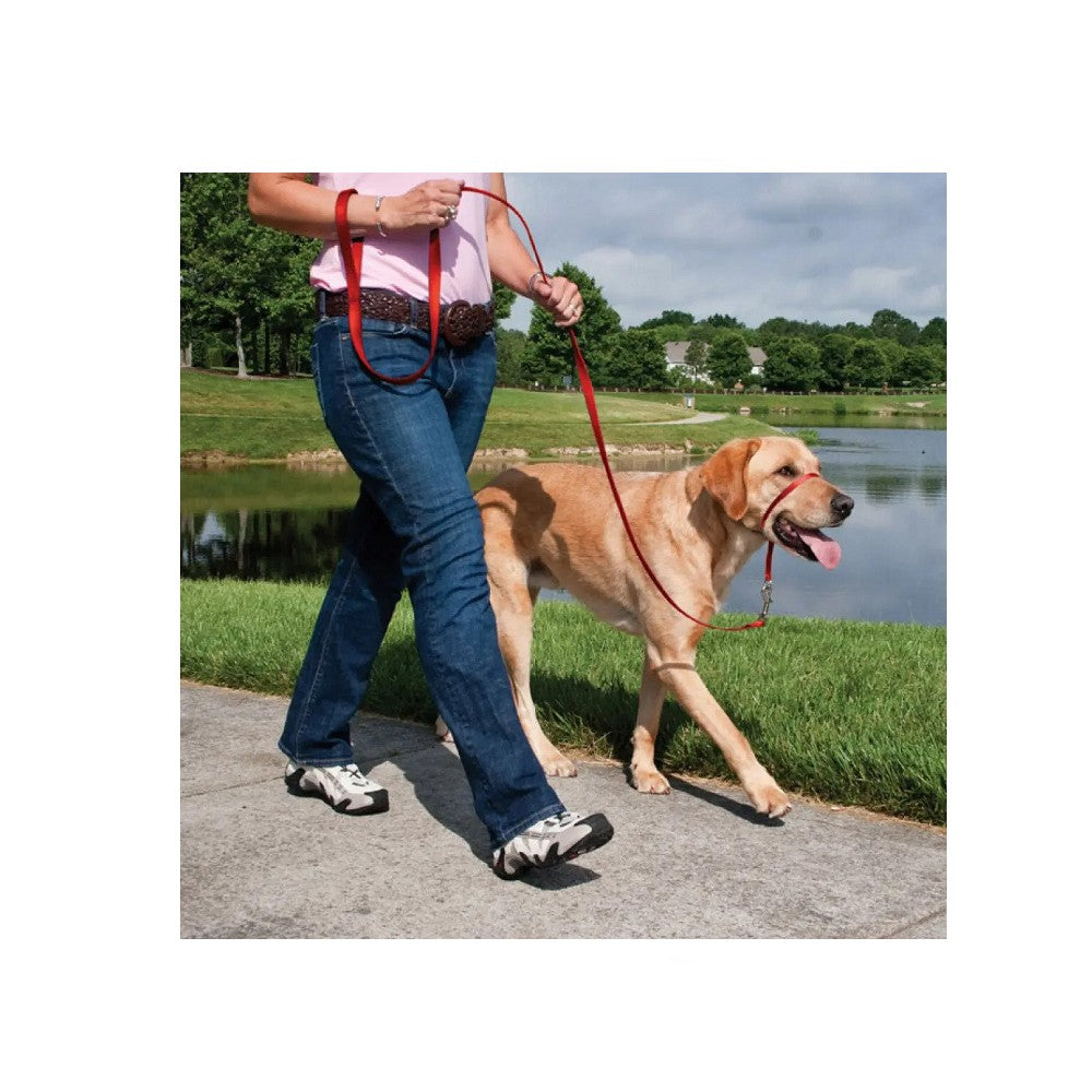 Gentle Leader Dog Head Collar