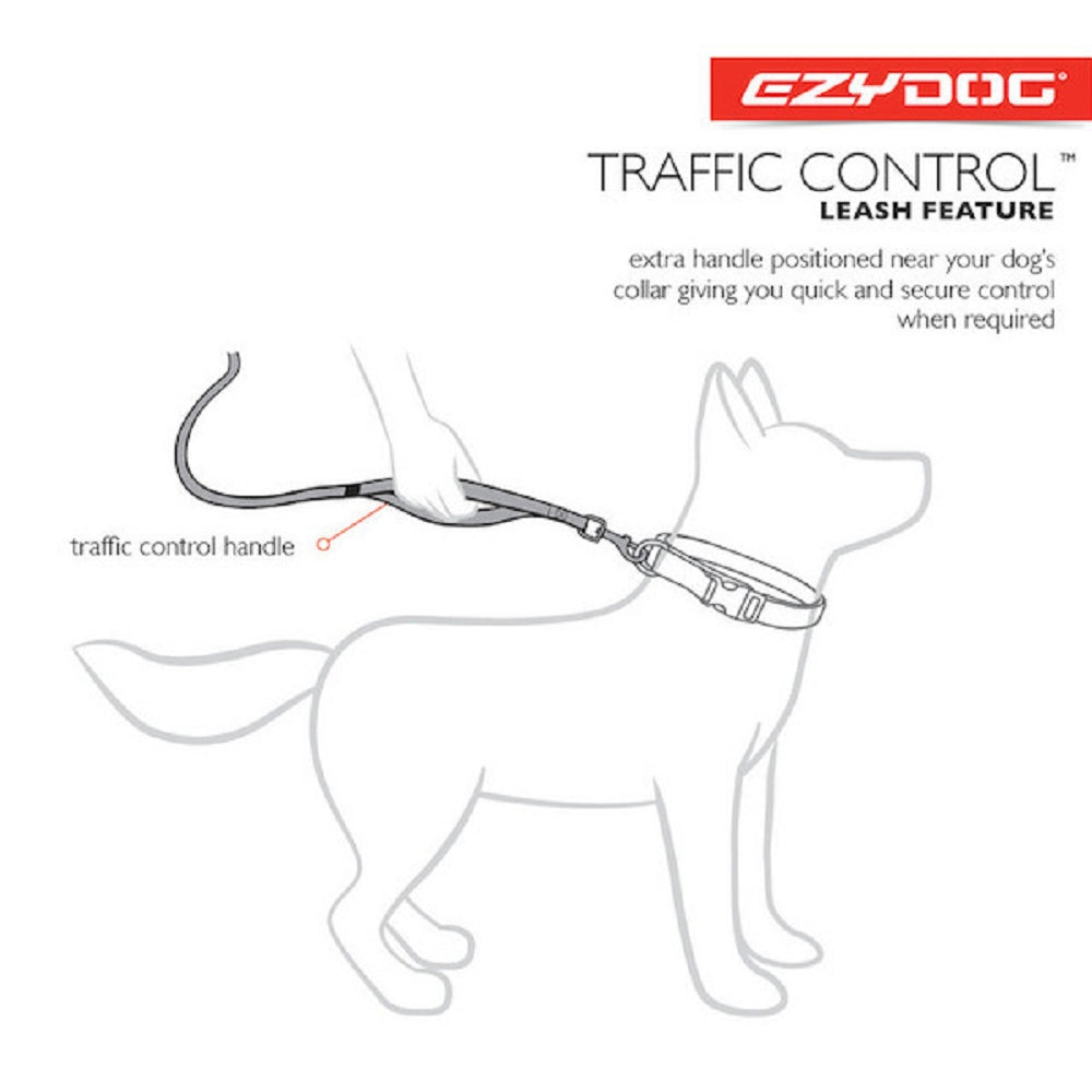 Road Runner Dog Leash Lite