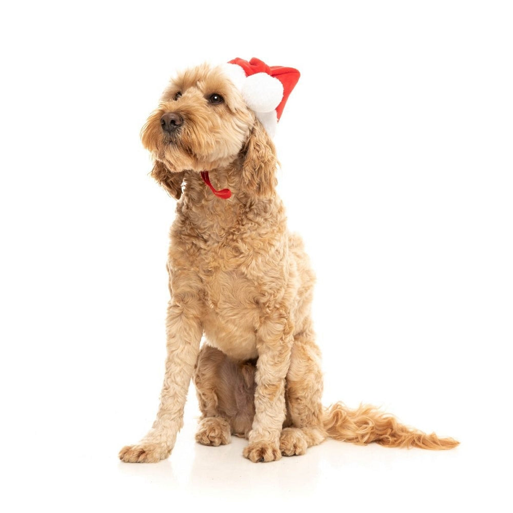 Christmas Santa Hat Dog Toy