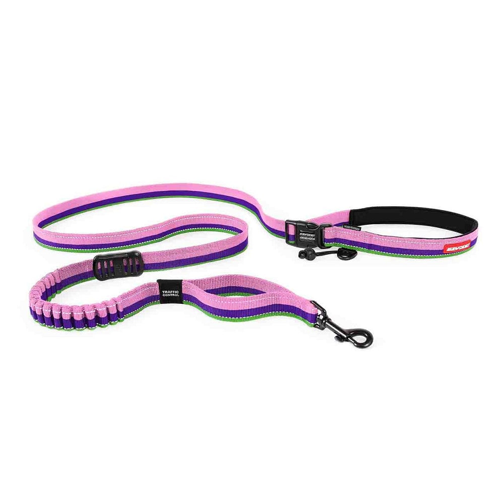 Road Runner Dog Leash