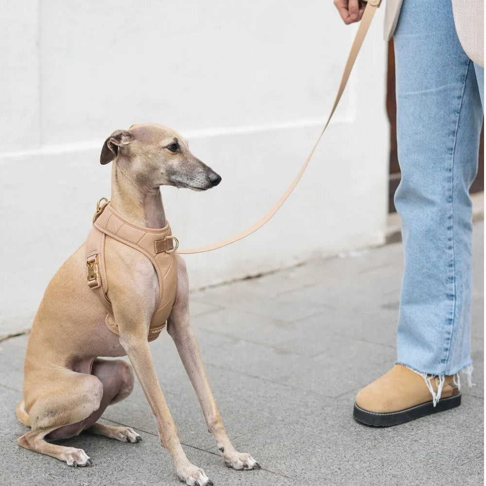 Roam Multi-Way Leash LITE