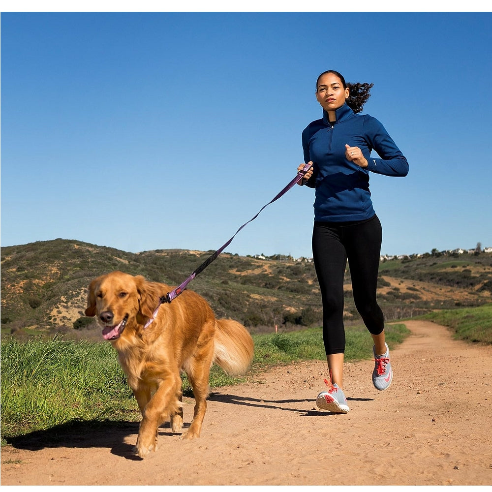 Halti All-in-One Dog Lead