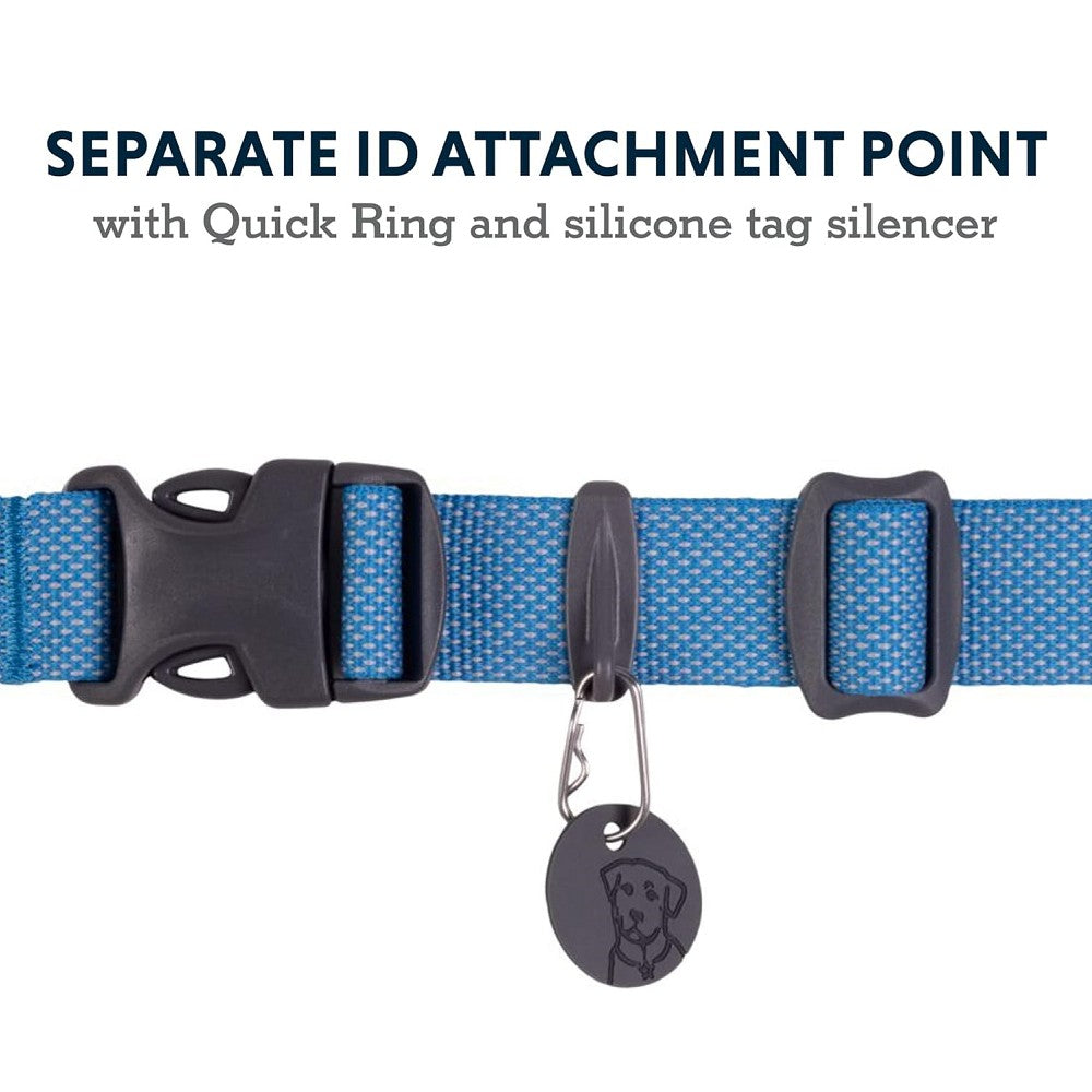 Hi & Light Dog Collar