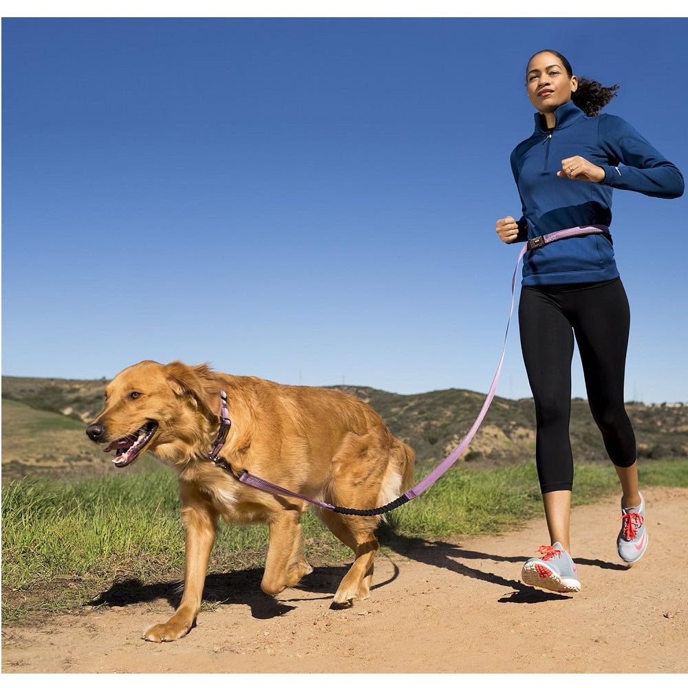 Halti All-in-One Dog Lead