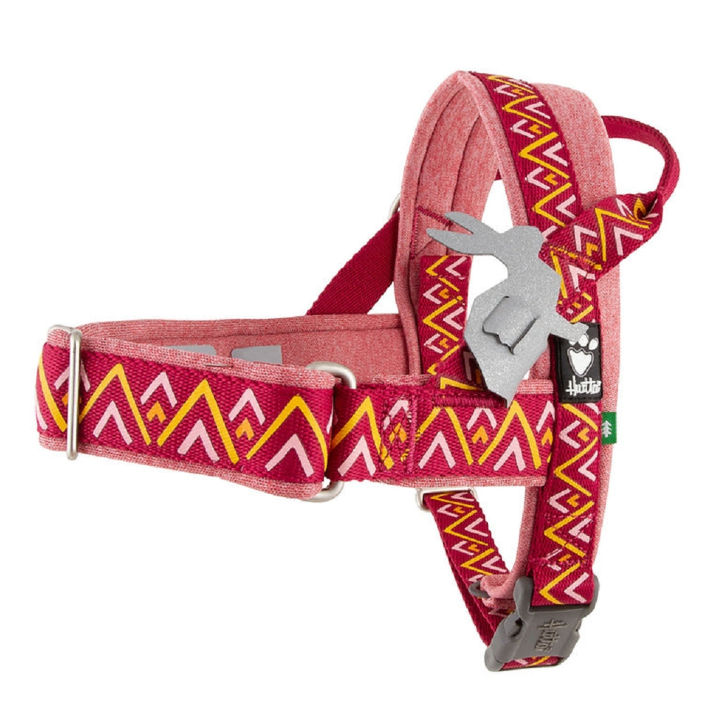 Razzle Dazzle Nordic Dog H-Harness