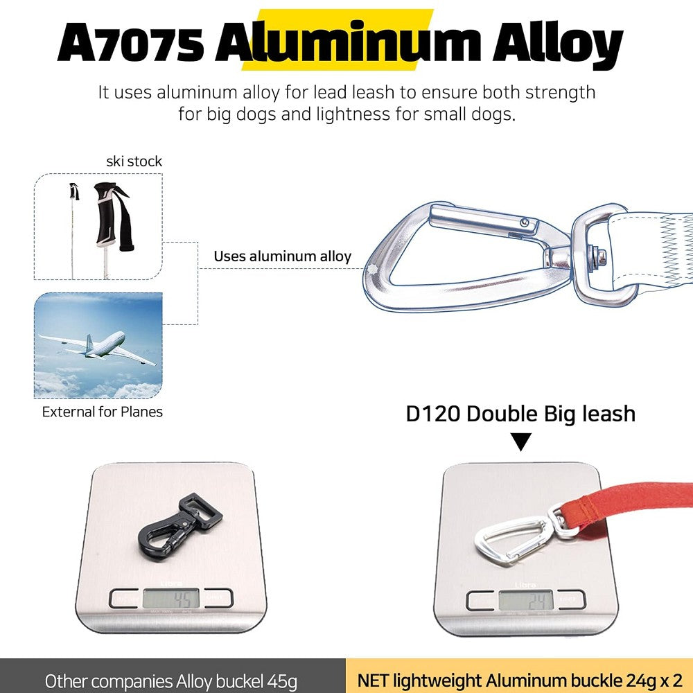 Interlaken Double 120 Dog Leash