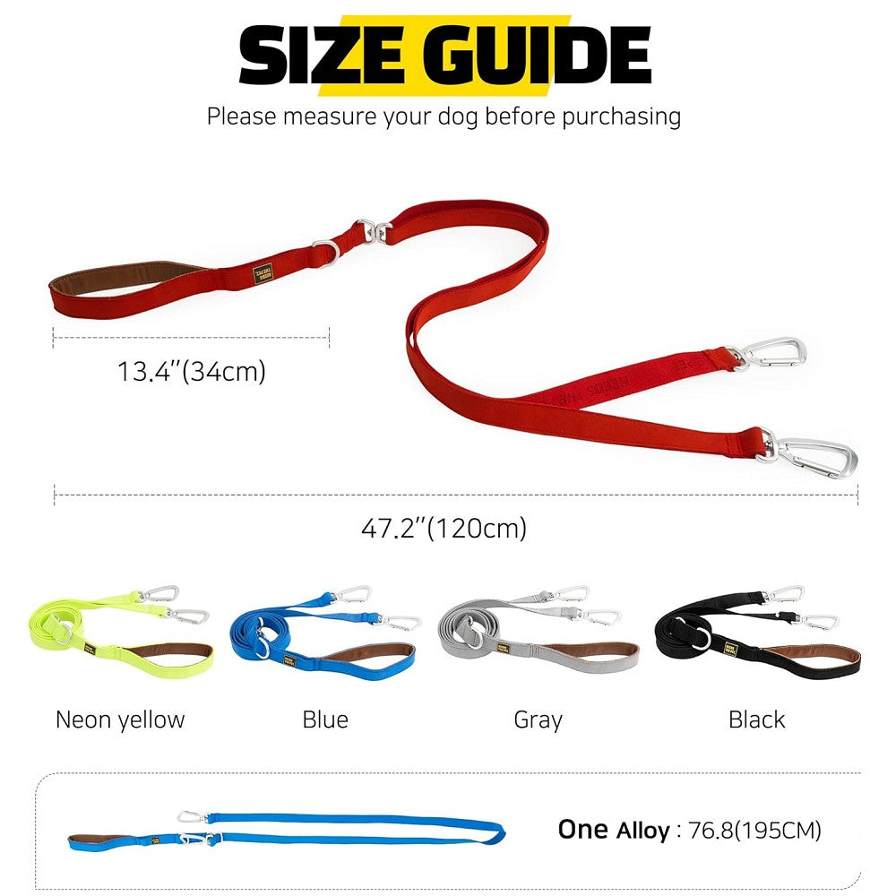 Interlaken Double 120 Dog Leash