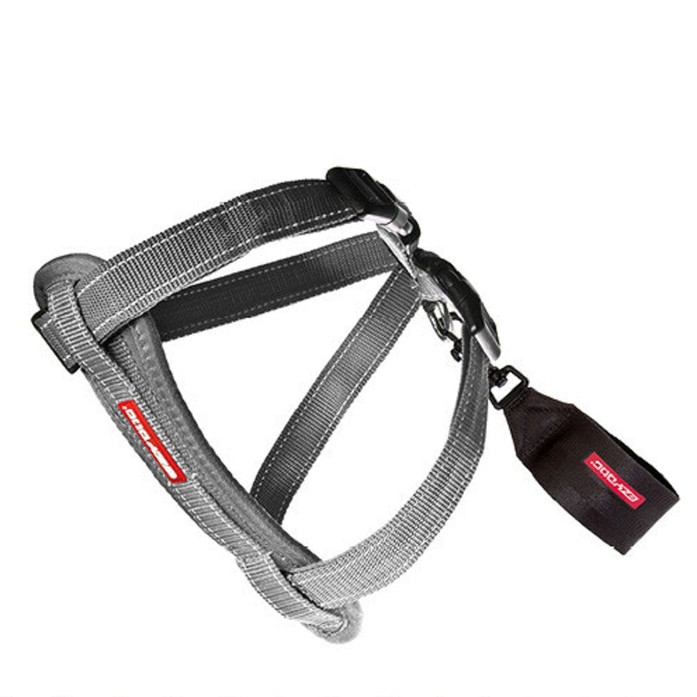 Chestplate Dog Harness