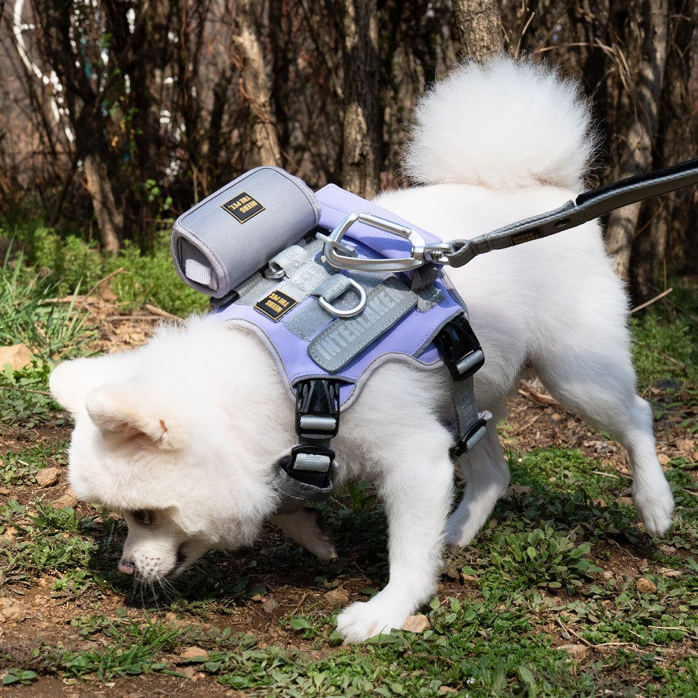 Interlaken Air-Cooling Dog Harness