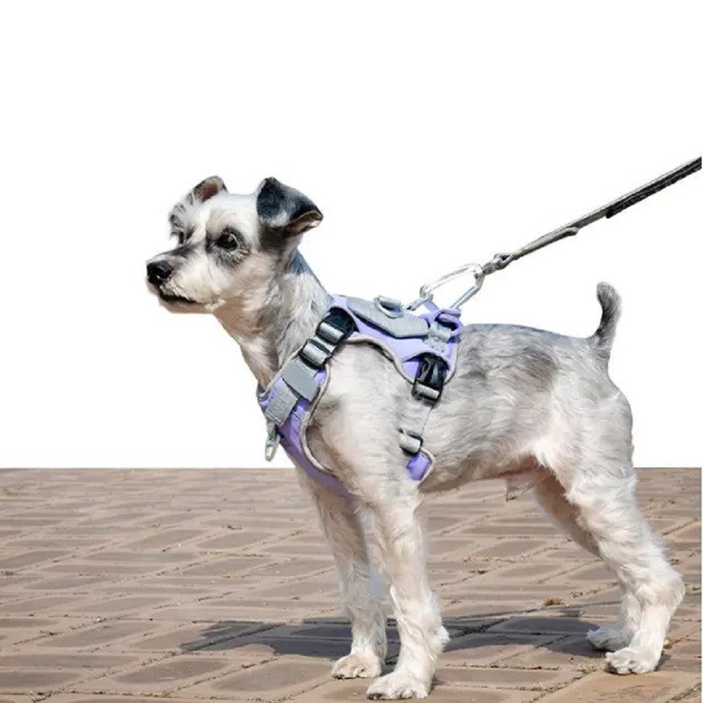 Interlaken Air-Cooling Dog Harness