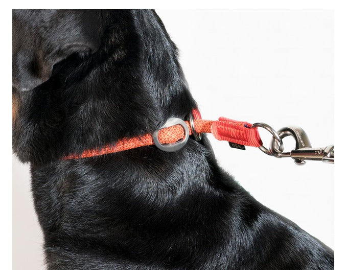 Leisure Rope Slip On Dog Collar