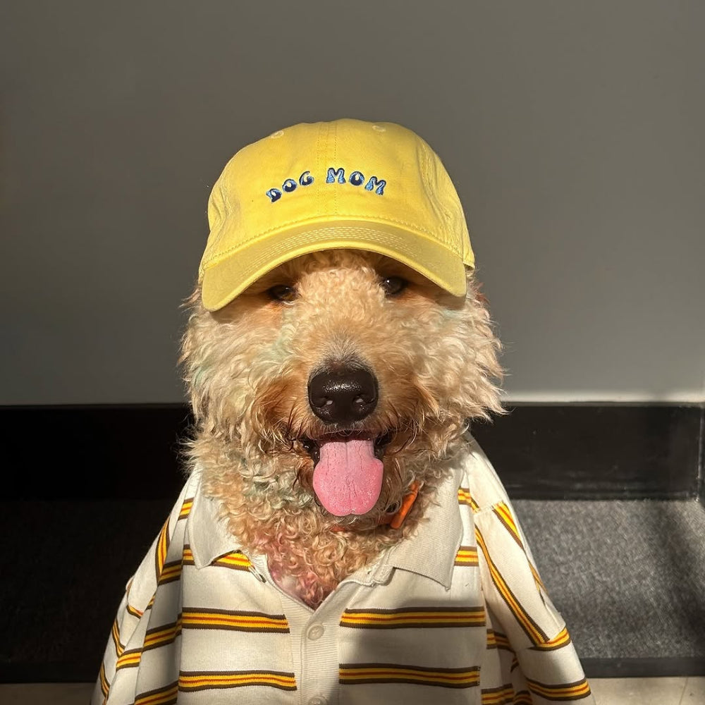 Dog Mom Hat