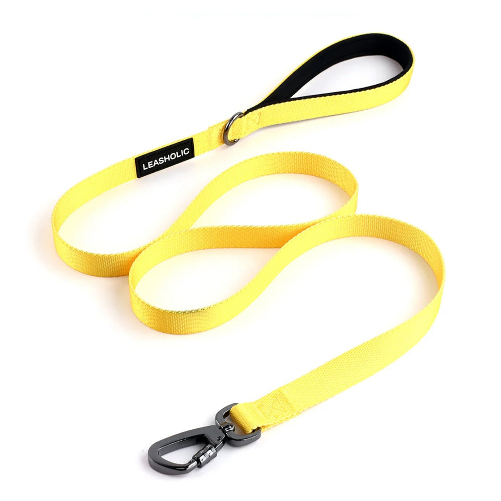 Classic Comfort Dog Leash