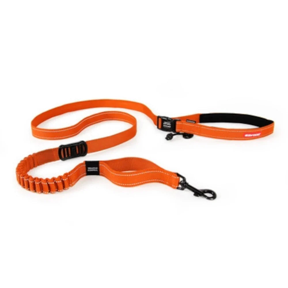 Road Runner Dog Leash