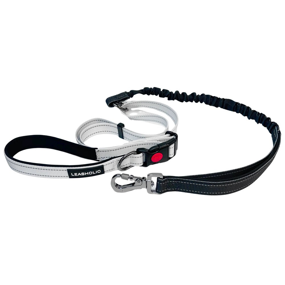 6 in 1 Multi-functional Hands-Free Dog Leash