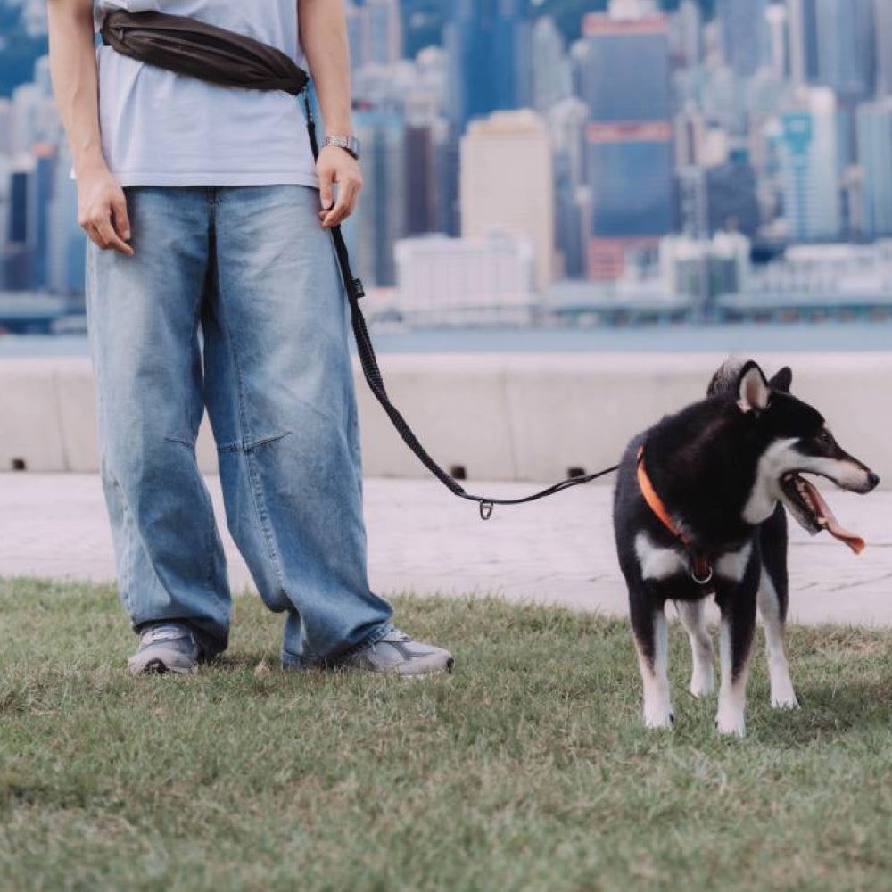 Leslie Multi-functional Dog Leash