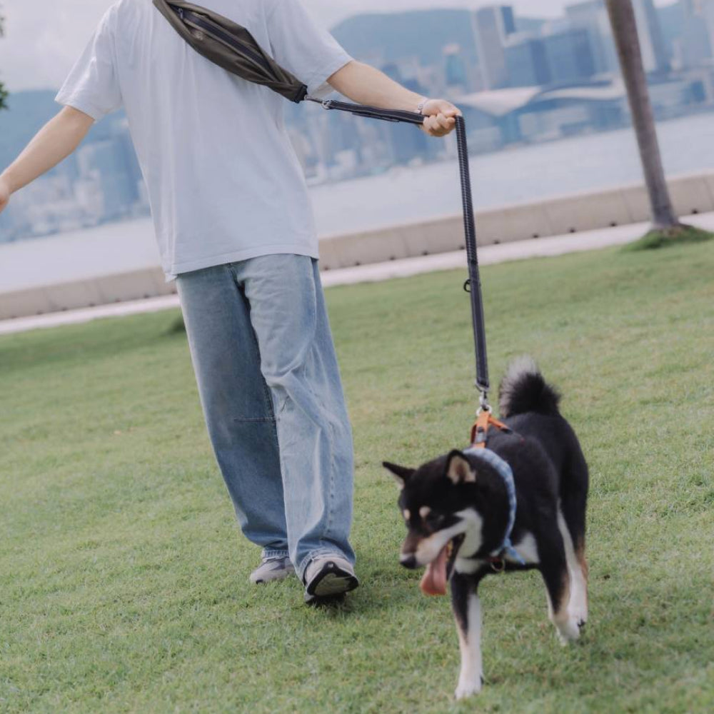 Leslie Multi-functional Dog Leash