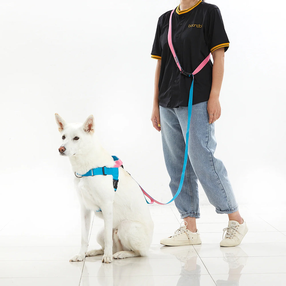 Play Leash 2.0 Dog Leash