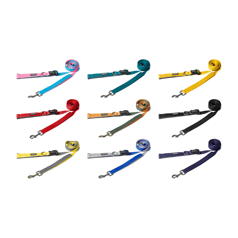 Play Leash 2.0 Dog Leash