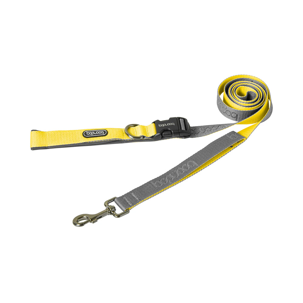 Play Leash 2.0 Dog Leash