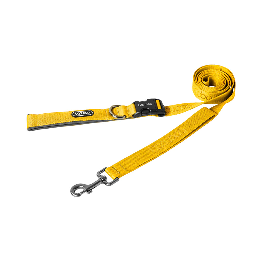 Play Leash 2.0 Dog Leash