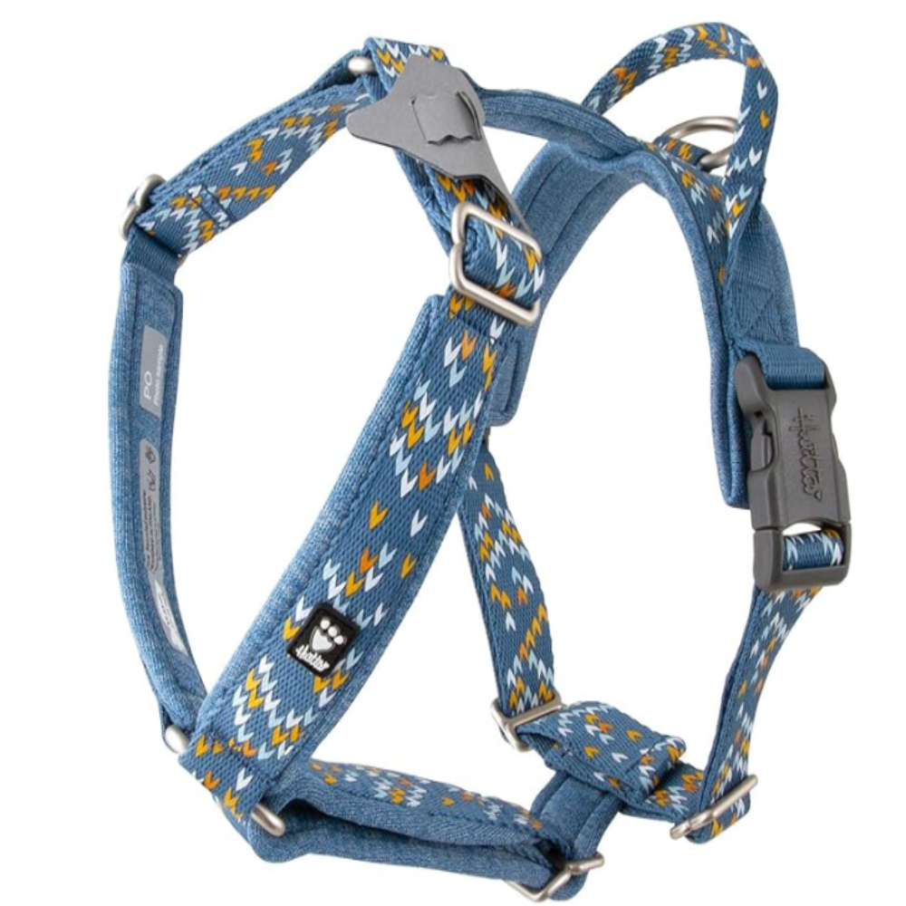 Razzle Dazzle Dog Y Harness