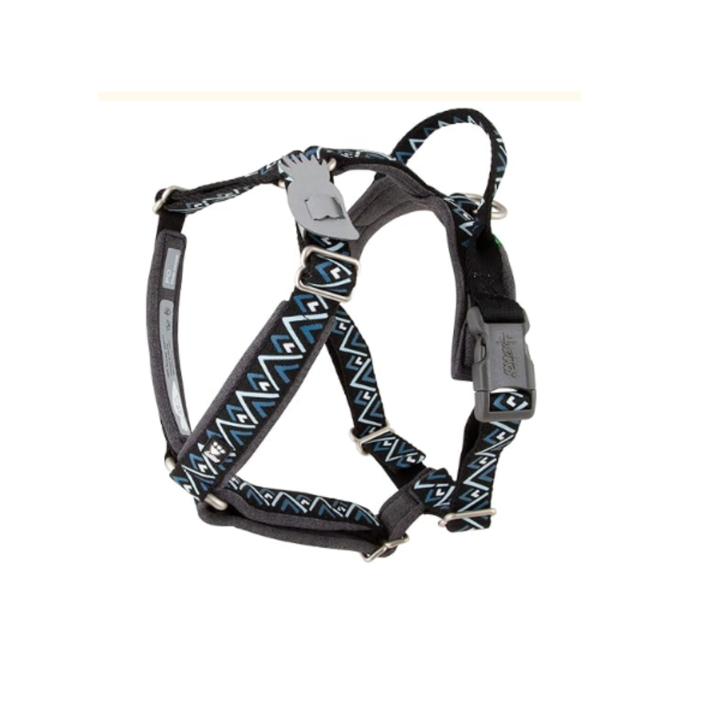 Razzle Dazzle Dog Y Harness