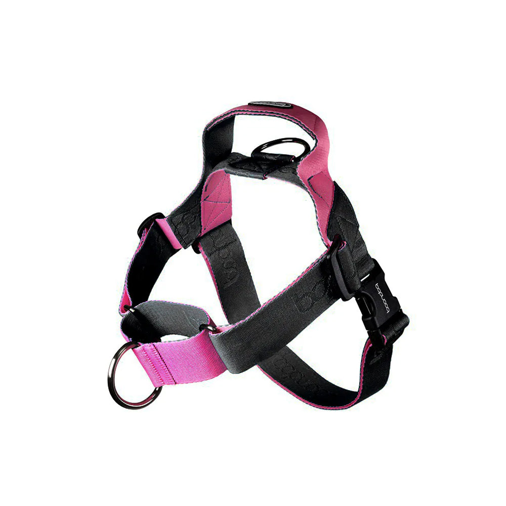 0109 Martingale Dog Harness