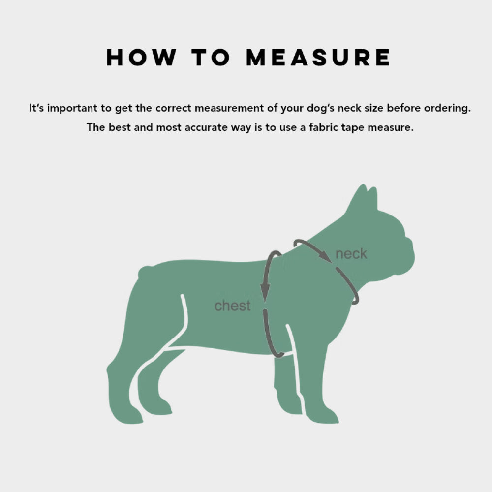 0109 Martingale Dog Harness