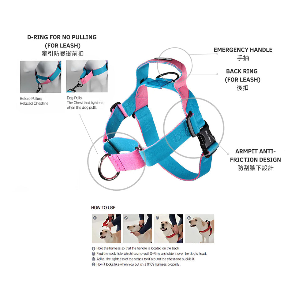 0109 Martingale Dog Harness