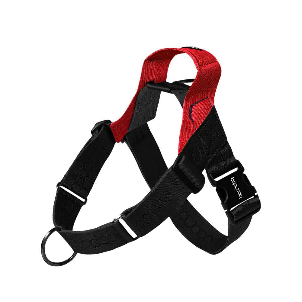 0109 Dog Harness