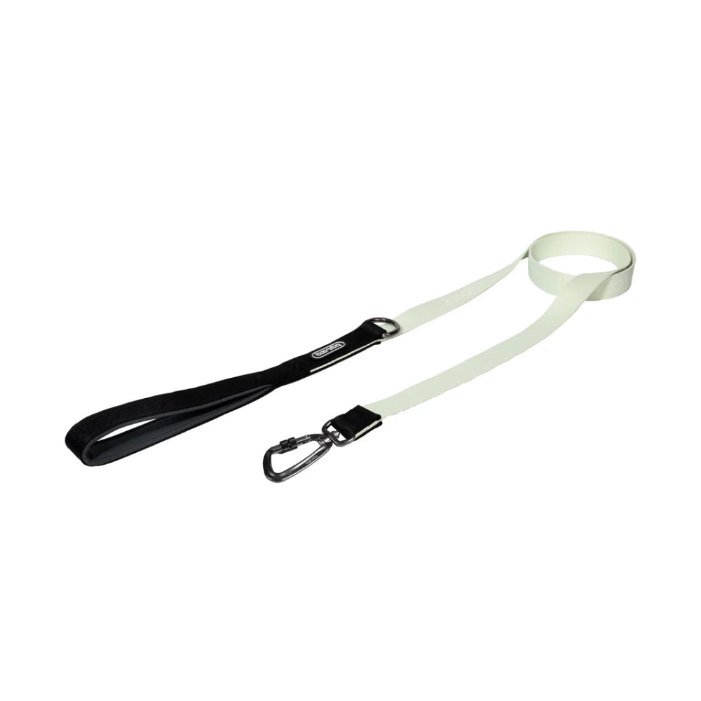 Original Dog Leash with Carabiner