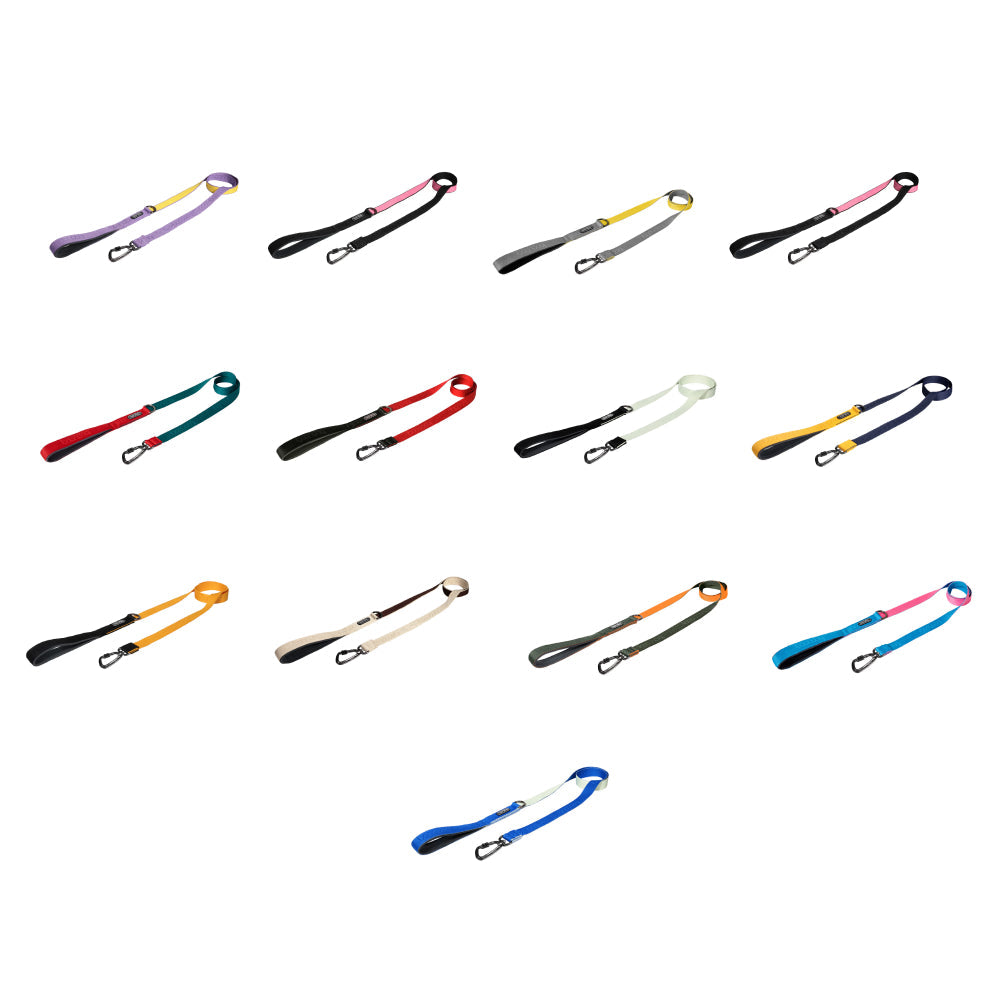 Original Dog Leash with Carabiner