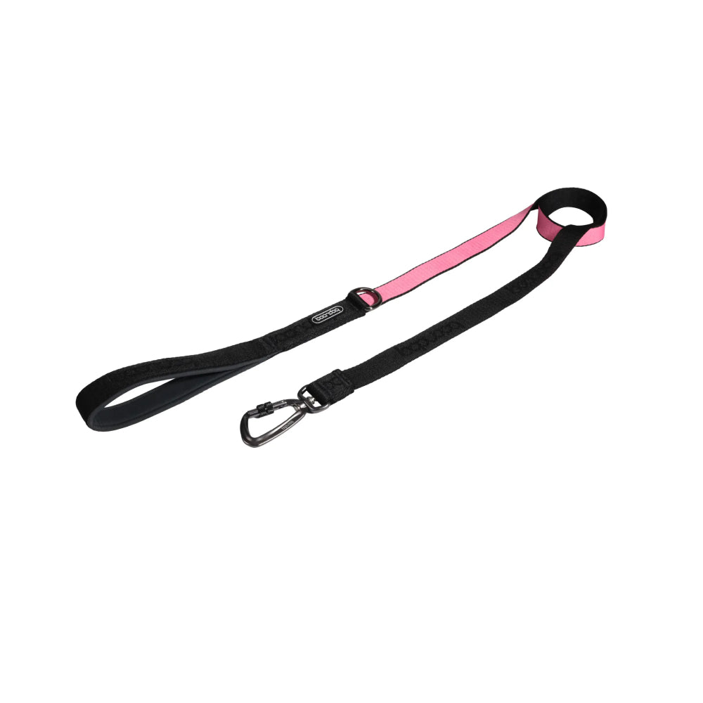 Original Dog Leash with Carabiner