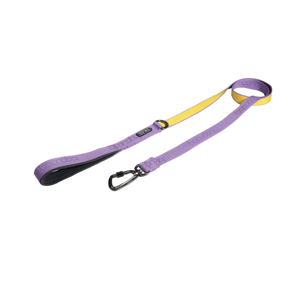 Original Dog Leash with Carabiner