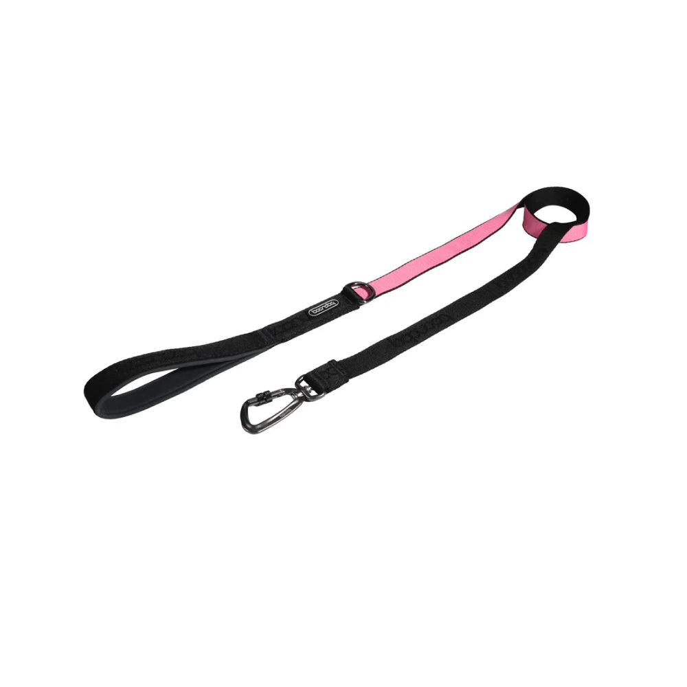 Original Dog Leash with Carabiner