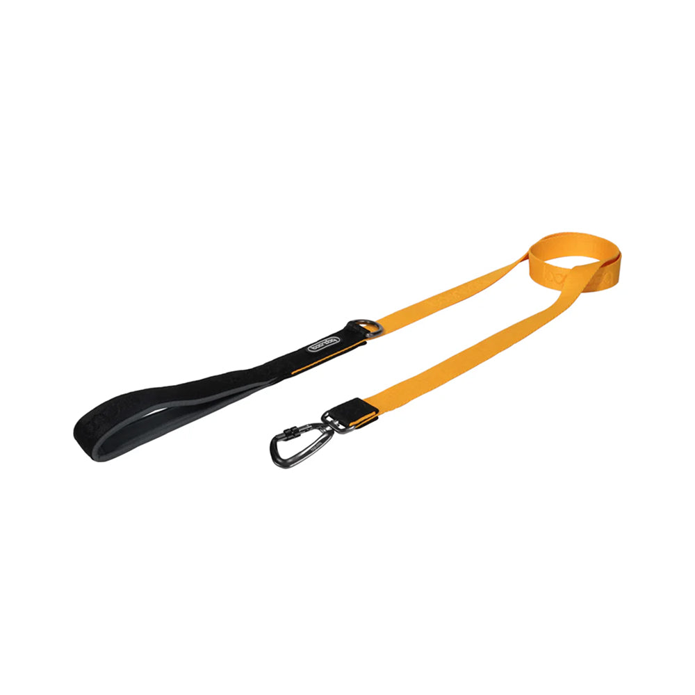 Original Dog Leash with Carabiner