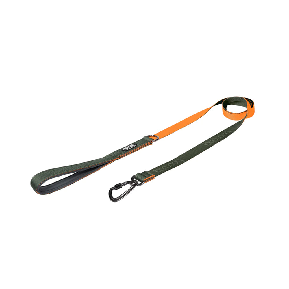 Original Dog Leash with Carabiner